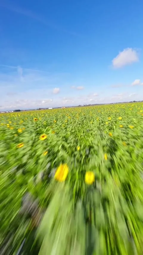 Drone video of nature Stock Footage 270444241