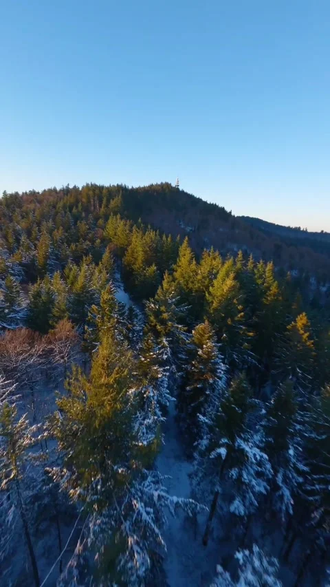 Drone video of nature Stock Footage 270446927
