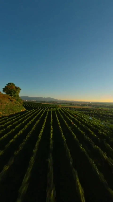 Drone video of nature Stock Footage 270482491