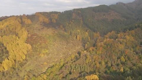 Drone video over mountains and forest in October. Stock Footage 140607329