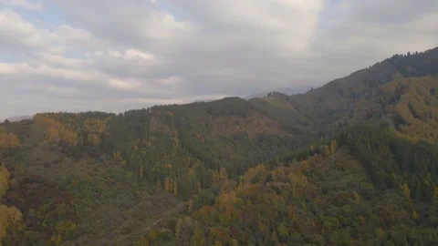 Drone video over mountains and forest in October. Stock Footage 140607339