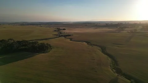 Drone video of overhead view of wheatfields in Western Australia's wheatbelt. Video stock 330327492