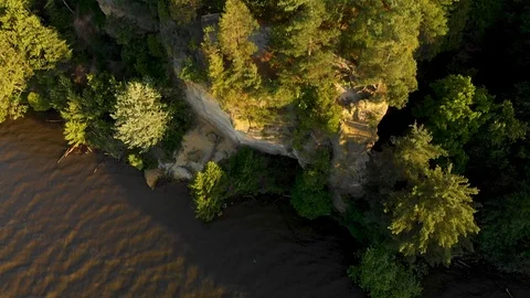 Drone Video of River and Forest - Tilt Up Landscape Reveal Vídeo Stock 90926230