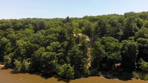 Drone Video of River and Forest - FlyOver Reveal Vídeo Stock 90926342