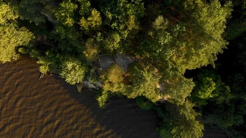 Drone Video of River and Forest - Tilt Pan Down Shot Vídeo Stock 90926467