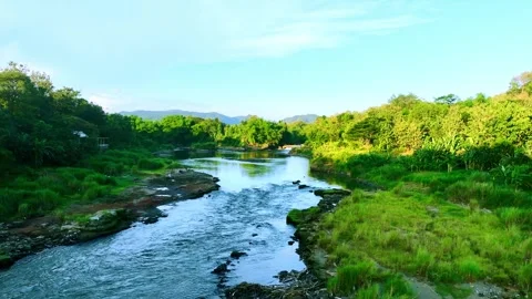 Drone video of river flowing through tropical forest Stock Footage 336314873