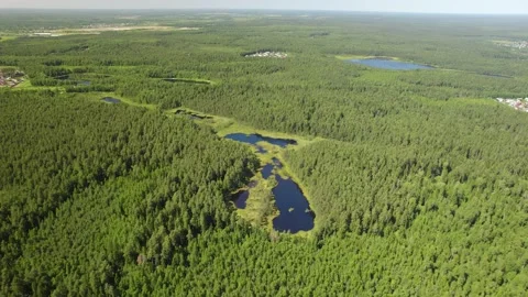 This drone video showcases the beauty of nature represented by a river and lake. Stock Footage 238903353