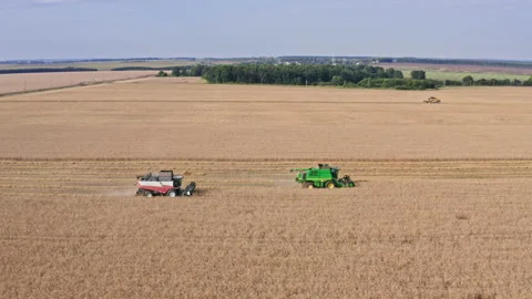 Drone Video - Side Tracking Shot Of Wheat harvesting with three combines Stock Footage 172529121