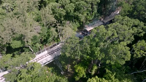 Drone video of steam train in Barbados (1) 動画素材 320868248