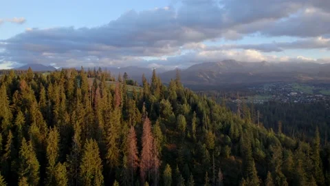 Drone video of the sunset view of the mountains, cloudy sky and forest in autumn Stock Footage 229197908