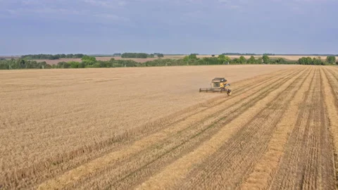 Drone Video - Tracking Shot Of Wheat Harvesting with a New Holland Combine Stock Footage 172524331