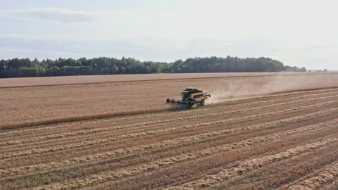 Drone Video - Tracking Shot Of Wheat Harvesting with a New Holland Combine Stock Footage 172524387