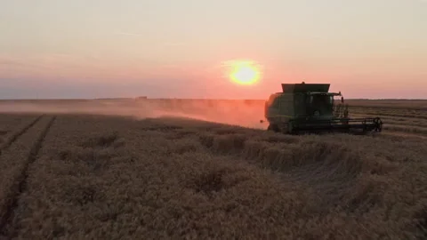 Drone Video - Tracking Shot Of Wheat Harvesting with a John Deere Combine Stock Footage 172524400