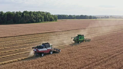 Drone Video - Tracking Shot Of Wheat Harvesting with two combines Stock Footage 172529135