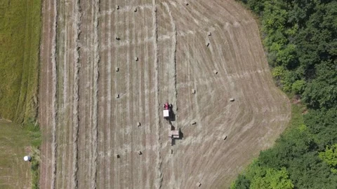 Drone video of a tractor packing dry grass into packs Stock Footage 312069981