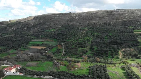 Drone Video of trees and plants in a forest in Greece with mountains Stock Footage 128411983