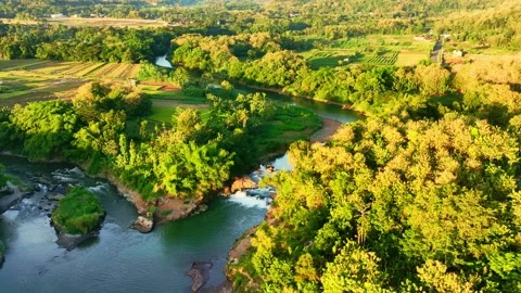 Drone video of tropical river islands and forest Stock Footage 336314902