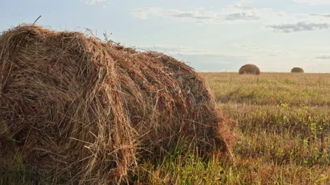 Drone Video - Two Haystacks On Field Stock Footage 172531341