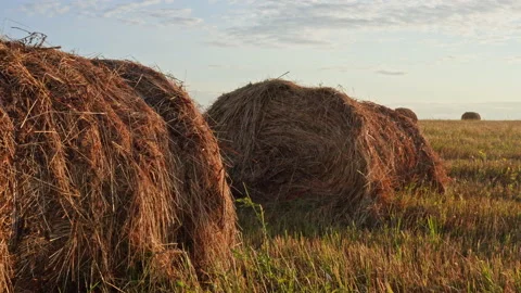 Drone Video - Two Haystacks On Field Stock Footage 172531370