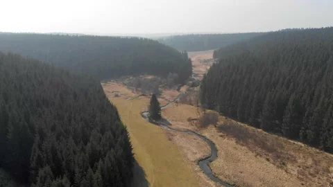 Drone video of a valley in a pine forest Stock Footage 152976741