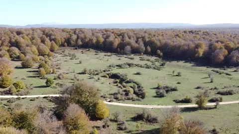 Drone video with view to a path in a natural park 库存影片 232127432