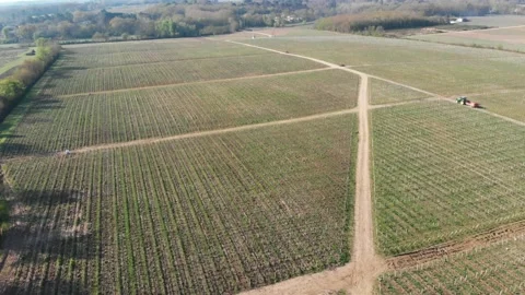 Drone video of vineyards Video stock 186504465