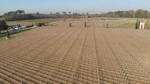 Drone video of vineyards Video stock 186504506