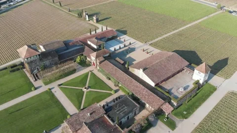 Drone video of vineyards Video stock 186504508