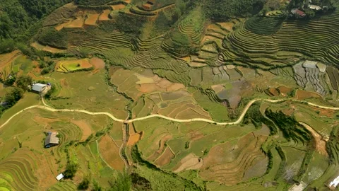 Drone Video of Walking Path in a Valley in SaPa Vietnam Surrounded by Terrac Video stock 314844076
