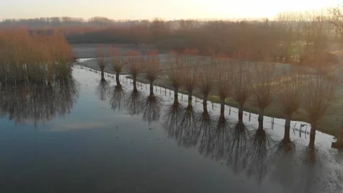 Drone video of willow trees by the water Stock Footage 171269726
