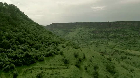 Drone video. Wooded mountain, deep stony canyon, Dzoraget River in Armenia. Video stock 253420033
