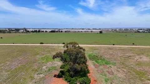 Drone Videos Stock Footage 313970405