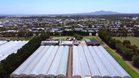 Drone Videos Stock Footage 313970572