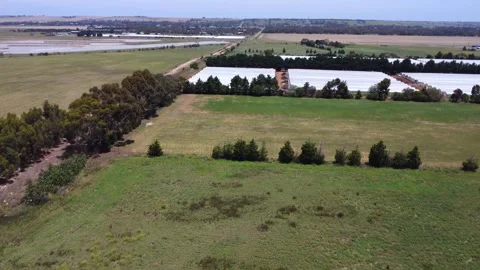 Drone Videos Stock Footage 313970704