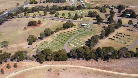 Drone Videos Stock Footage 313972110