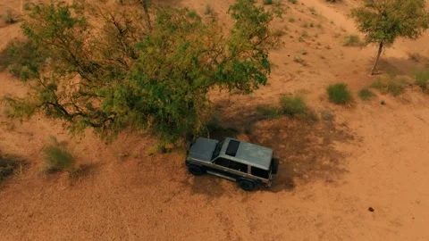 Drone view of a 4x4 stopped beneath a broad desert tree in the Thar Desert Stock Footage 345845898