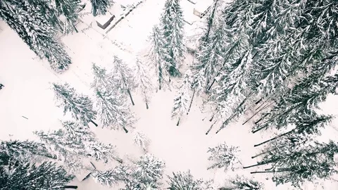 Drone View from above Stock Footage 72788905