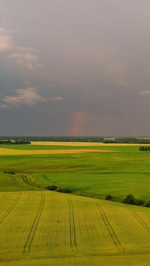 Drone View Above Golden Grain Field Beneath Dramatic Storm Clouds With Bright Stock Footage 340913294