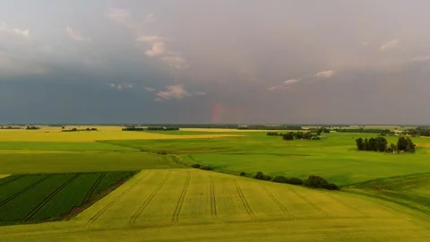 Drone View Above Golden Grain Field Beneath Dramatic Storm Clouds With Bright Stock Footage 340913637