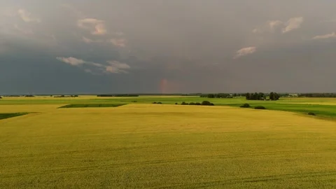 Drone View Above Golden Grain Field Beneath Dramatic Storm Clouds With Bright Stock Footage 340915442