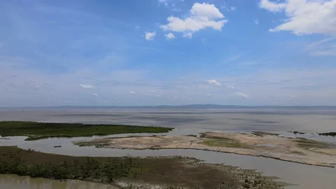 Drone view above the mangrove forest. 4k Areal view of mangrove forest in Bangla Video stock 210149181