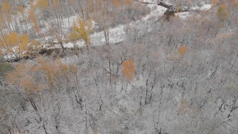 Drone view above meandering stream running through a bright orange  Stock Footage 117565831