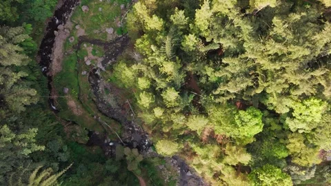 Drone view above winding river through dense forest Stock Footage 340155830