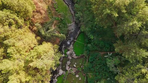 Drone view above winding river through dense forest Фото