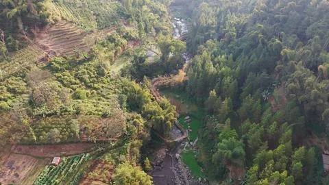 Drone view above winding river through dense forest Фото