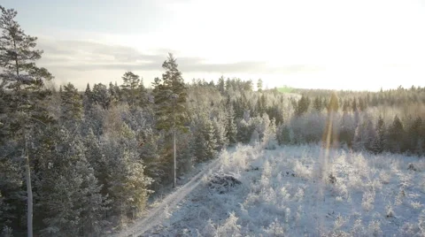 Drone view Aerial winter backlight scene frosty forest Stockbeeldmateriaal 45612512