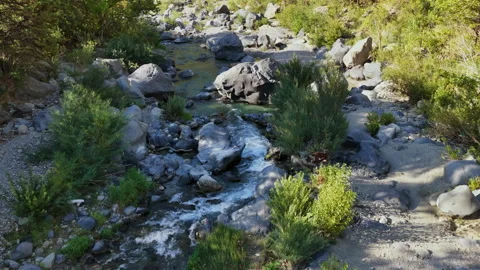 Drone View of Alcantara River with Rocks, Flowing Water and Vegetation, Sicily Stock Footage 317360691