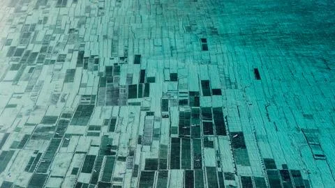 Drone view of algae seaweed farm in ocean water at Lembongan island in Indo.. Stock Photos