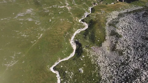 Drone view of Alpine stream and pastures in the Italian Alps Vidéo 319146585