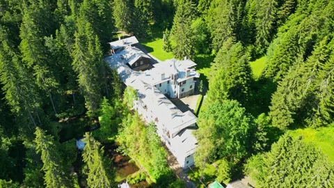 Drone View of of ancient palace and the nature in the old park Tsarska or Royal  Stock Footage 256030674
